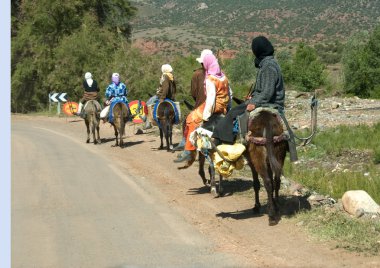 Woman riding donkeys clipart