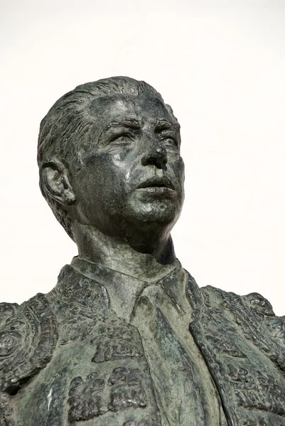 Stock image Bust of a matador