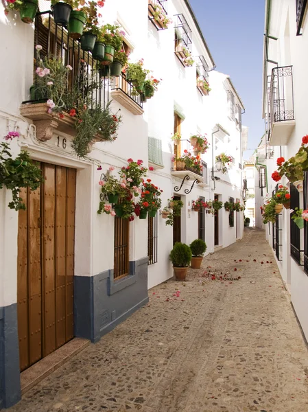 Flower lined side street Spain — Stock Photo, Image