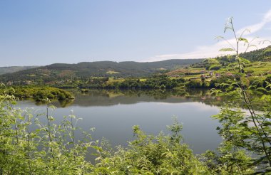 Bankalar, nehir minho galicia