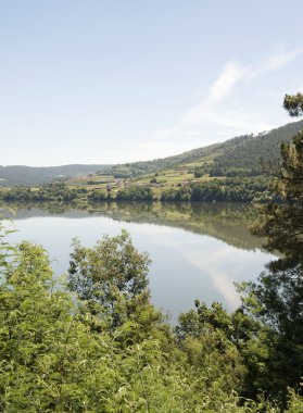 Bankalar, nehir minho galicia