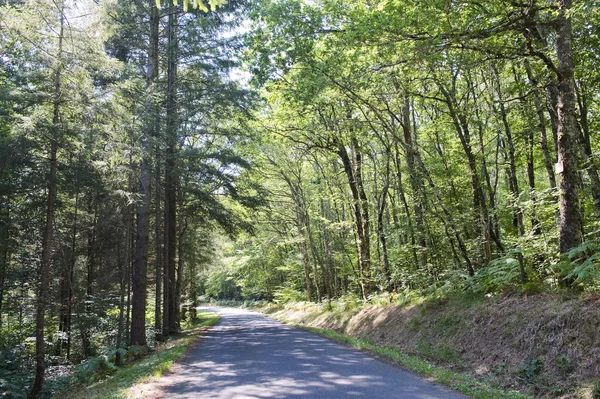 stock image Country lane in France