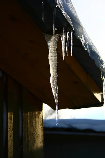 Stock image Icicle