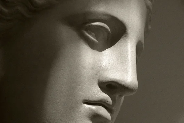 stock image A bust of Venus