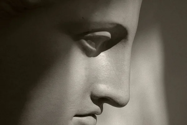 Um busto de Vénus Fotografia De Stock
