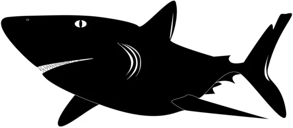 stock vector Shark