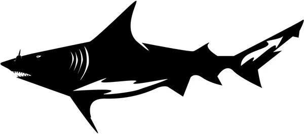 stock vector Shark