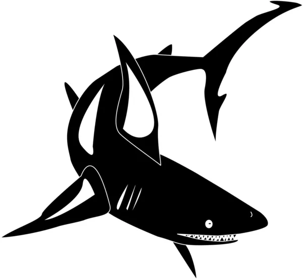 Tiburón — Archivo Imágenes Vectoriales