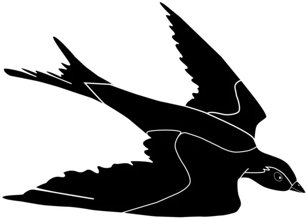 黒と白のベクトルの鳥 — ストックベクタ