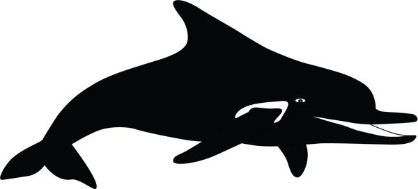 Vector silhouette dolphin on white background — Stock Vector