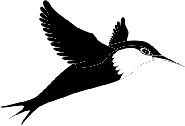 Vektorvögel in schwarz-weiß — Stockvektor