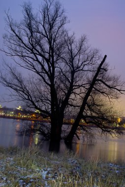 dusseldorf yakınındaki Ren Nehri'nin