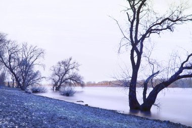 dusseldorf yakınındaki Ren Nehri'nin