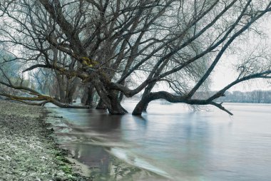 dusseldorf yakınındaki Ren Nehri'nin