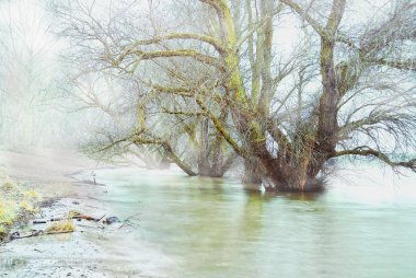 dusseldorf yakınındaki Ren Nehri'nin