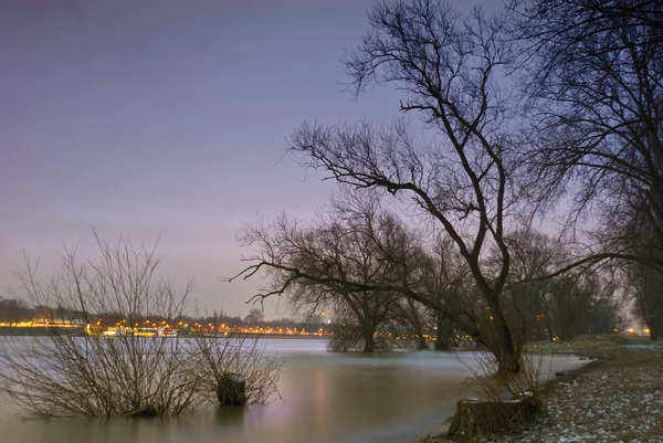 dusseldorf yakınındaki Ren Nehri'nin