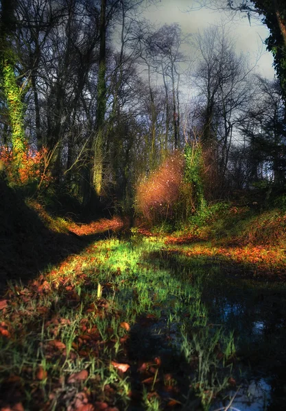 Pequeno riacho no outono — Fotografia de Stock