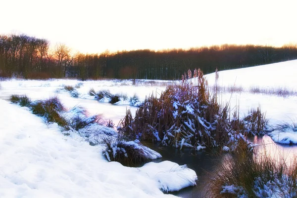 夜明けに小さな川のある冬の風景 ストック写真