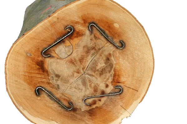 Κατεργασία ξύλου — Φωτογραφία Αρχείου