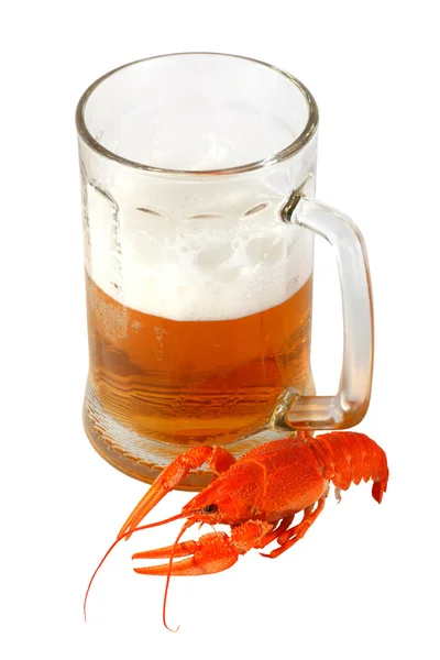 Beer and crawfish — Stock Photo, Image