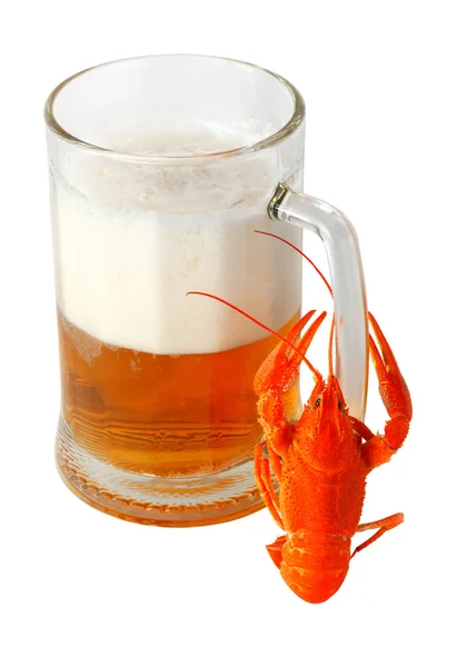 Cerveja e lagostim — Fotografia de Stock