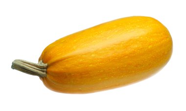 Yellow squash clipart