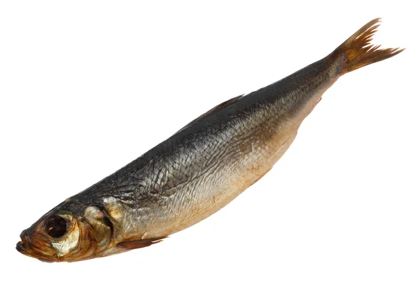 Tütsülenmiş ringa balığı — Stok fotoğraf