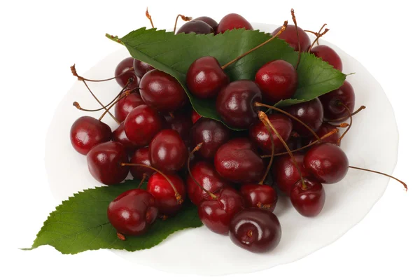 Cherry heap with Leafs — Stock Photo, Image