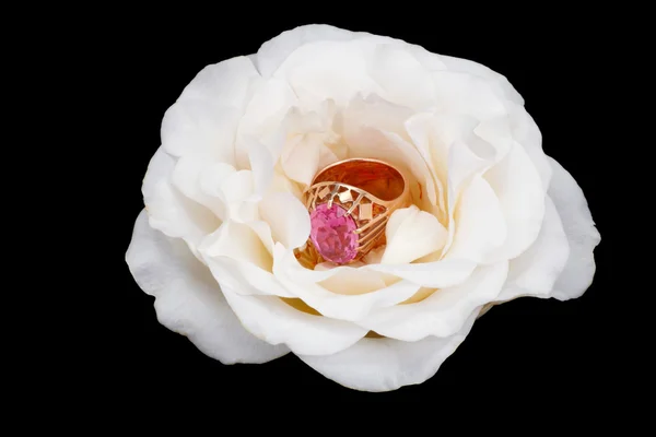 Goldring mit einer weißen Rose — Stockfoto