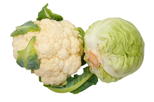 Cauliflower and Cabbage — Stock Photo, Image