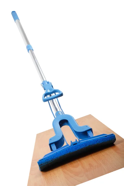 Mop on hardwood floors — Stok fotoğraf