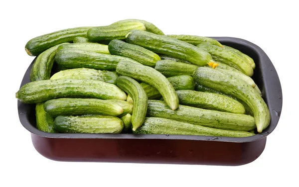 Cucumbers in a container — Stock Photo, Image