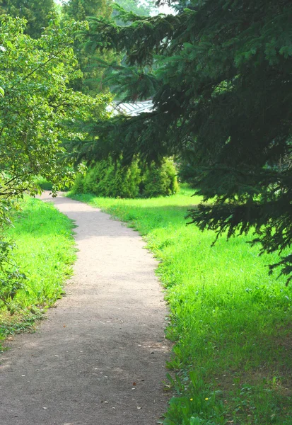 Stock image Footpath in park