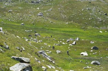 Yükseklik dağ bisikletçileri freeride