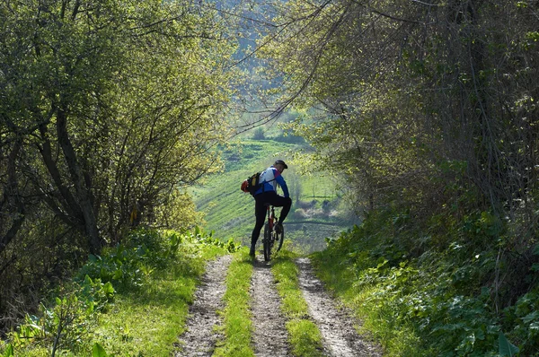 Горный велосипедист на сельской дороге — стоковое фото