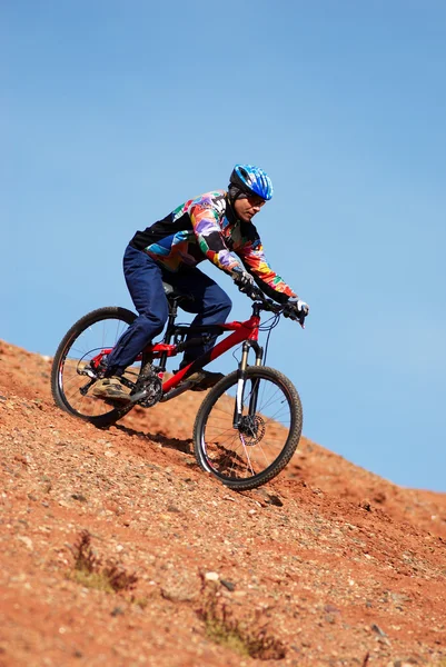 Mountain bike downhill — Stock Photo, Image