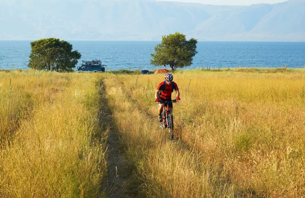 Kerékpáros turista a sárga mezőben tó mellett — Stock Fotó
