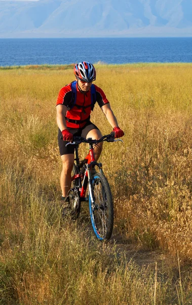 Fahrradtourist auf gelbem Feld am See — Stockfoto