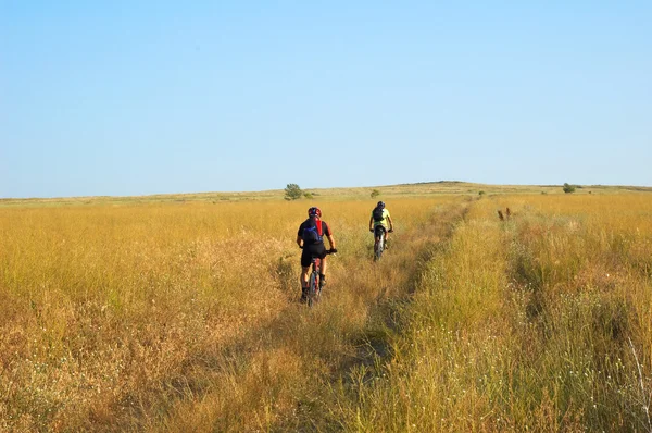 Two bike tourist on yellow field — Stock Photo, Image