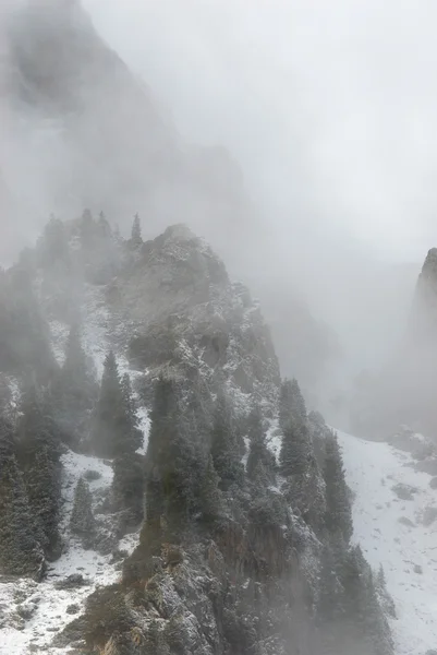 岩、森、霧 — ストック写真