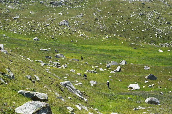 Байкеры фрирайд на высоте горы — стоковое фото
