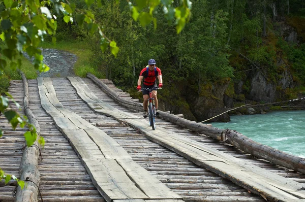 Montanha motociclista na ponte de madeira — Fotografia de Stock