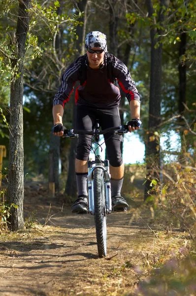 Biker på skogsstigen — Stockfoto