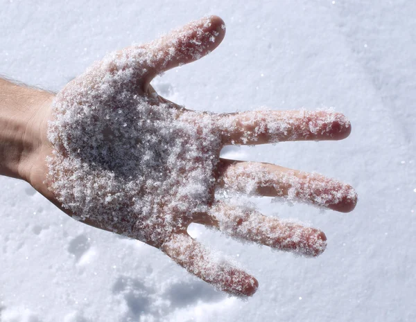 Neve fresca na palma da mão — Fotografia de Stock