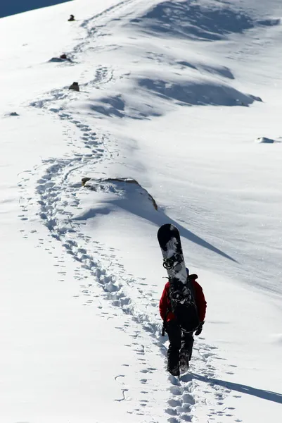 Сноубордист в гору за фрирайдом — стоковое фото