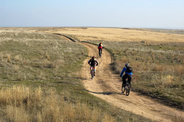 Stock image Three mountain bikers