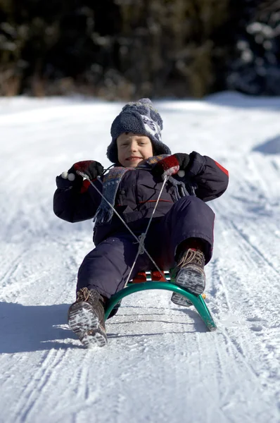Boy on sled — Stock Photo, Image