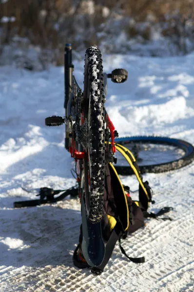 Kış dağ bisikleti — Stok fotoğraf