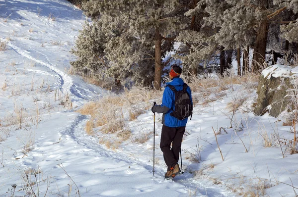 Człowiek snowshoer wspinaczki wzgórzu — Zdjęcie stockowe