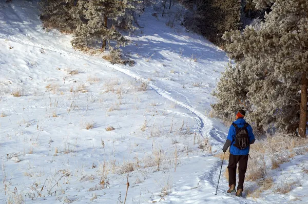Homem snowshoer escalada colina — Fotografia de Stock